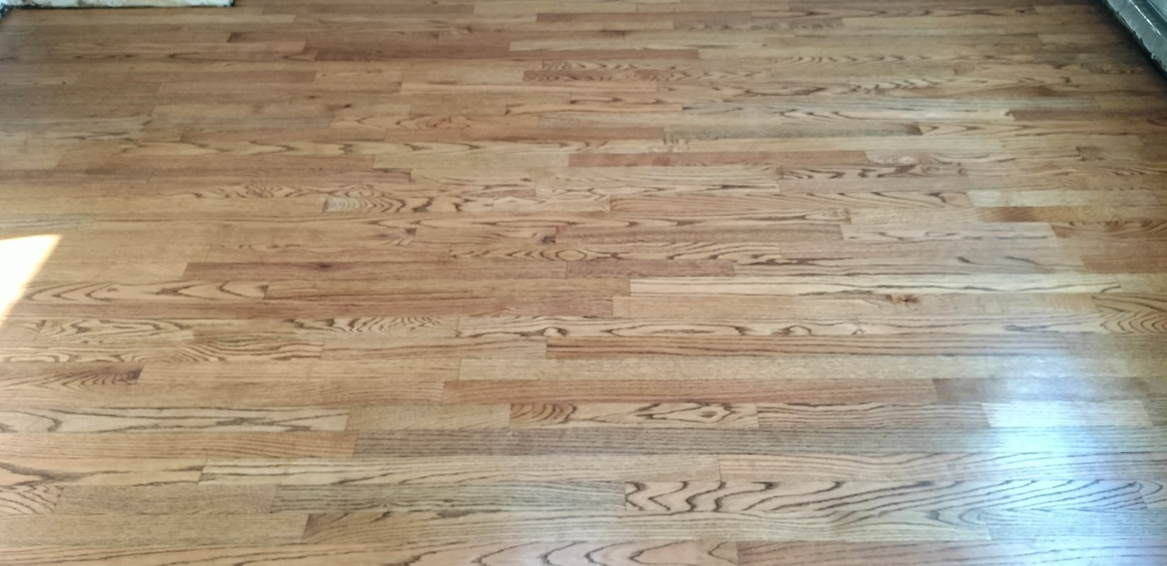 Stained Hardwood Flooring